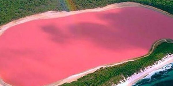 lac-rose lac-rose